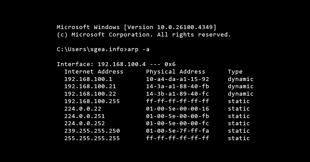 ARP Command on Windows